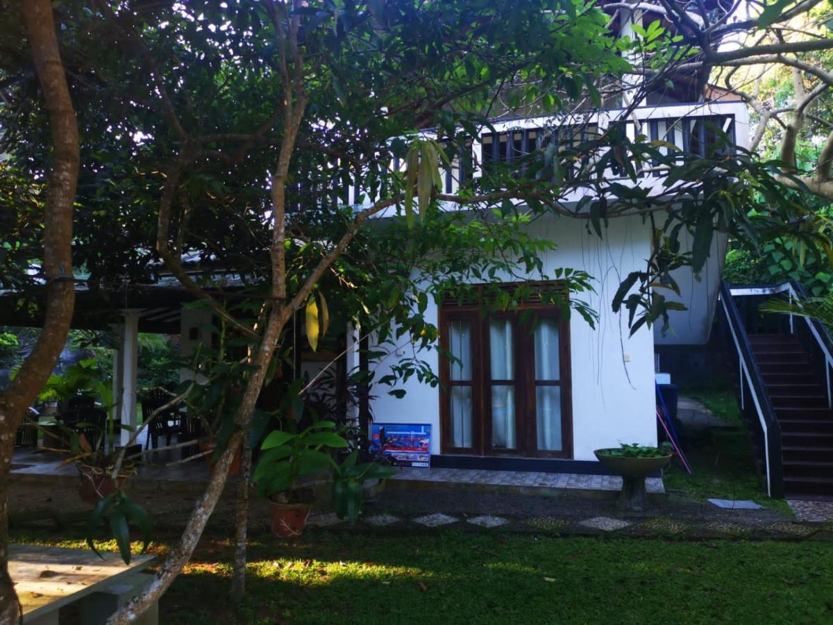 Villa Green Cottage هيكادوفا المظهر الخارجي الصورة
