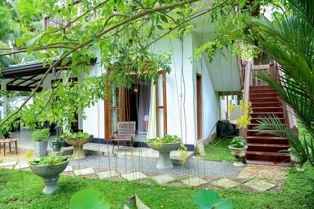 Villa Green Cottage هيكادوفا المظهر الخارجي الصورة